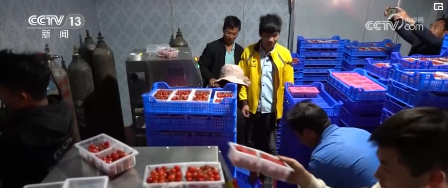 运力盘活、业务翻番！客货邮“无缝交接” 大数据高效服务乡村振兴(图11)