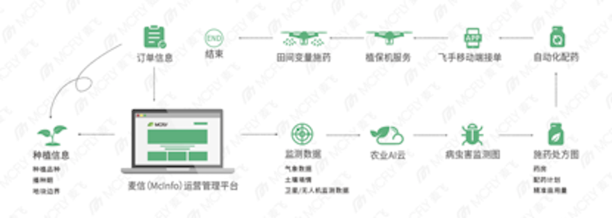 大数据服务什么是大数据服务？的最新报道(图2)