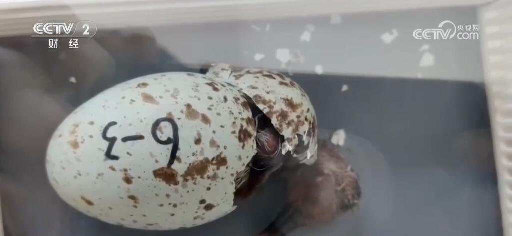 多组数据释放积极信号 中国经济高质量发展行稳致远(图7)