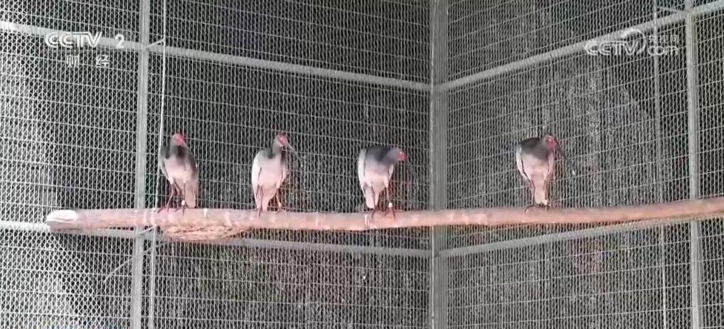 多组数据释放积极信号 中国经济高质量发展行稳致远(图8)