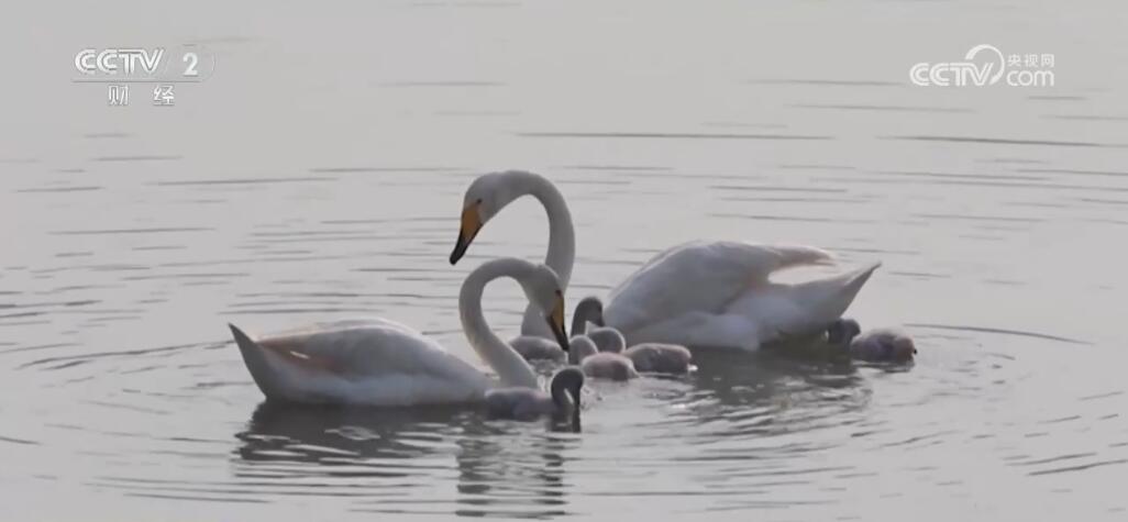 多组数据释放积极信号 中国经济高质量发展行稳致远(图9)