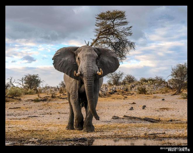 华为影像移动影像数字化重构的奠基人和传薪者(图4)